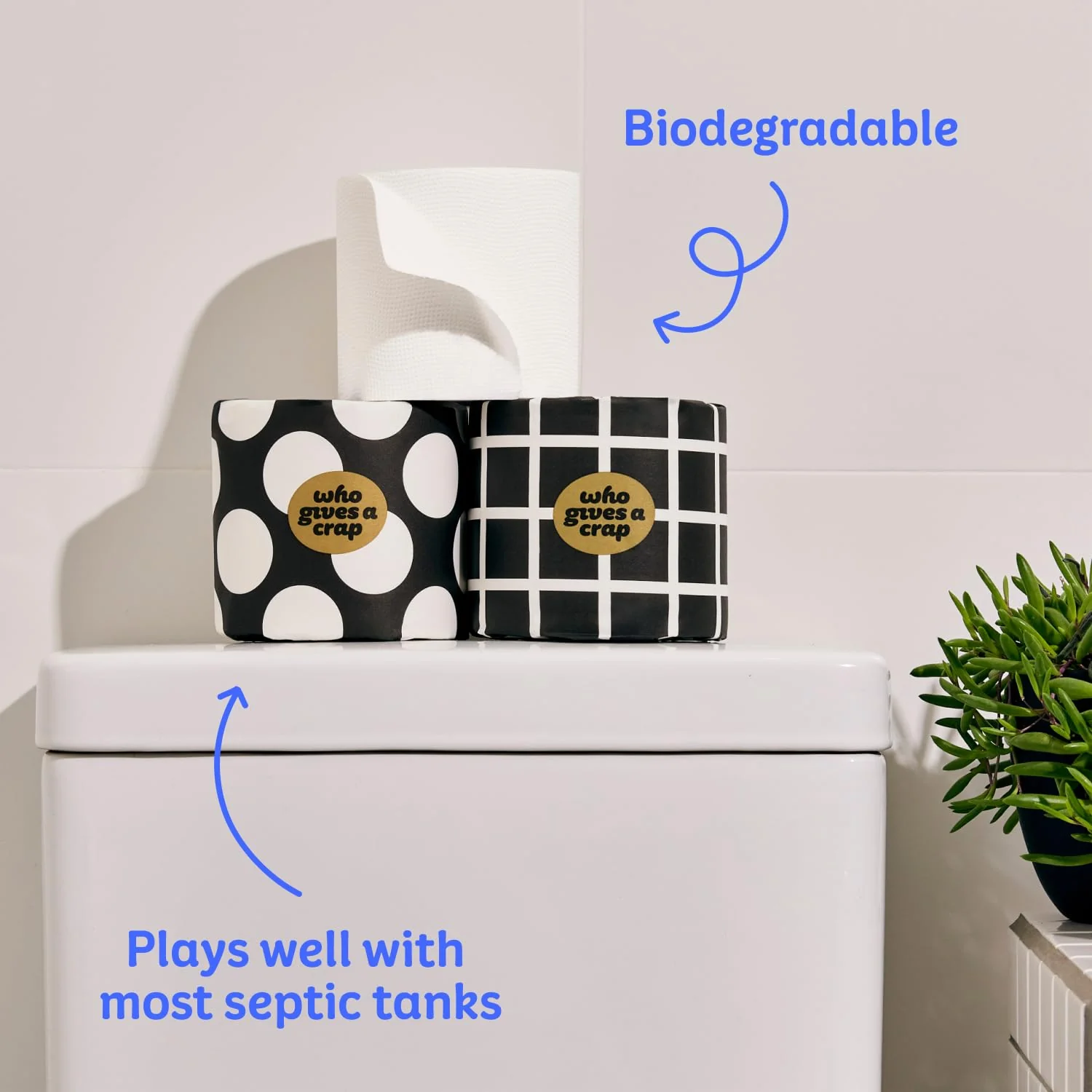 Who Gives A Crap 100% Bamboo Toilet Paper, 48 Rolls, 3 Ply, 370 Sheets, Long, Strong & Soft Toilet Tissue, Sustainable, Biodegradable, Renewable, Tree Free Bathroom Tissue Bulk Toilet Paper - Image 4