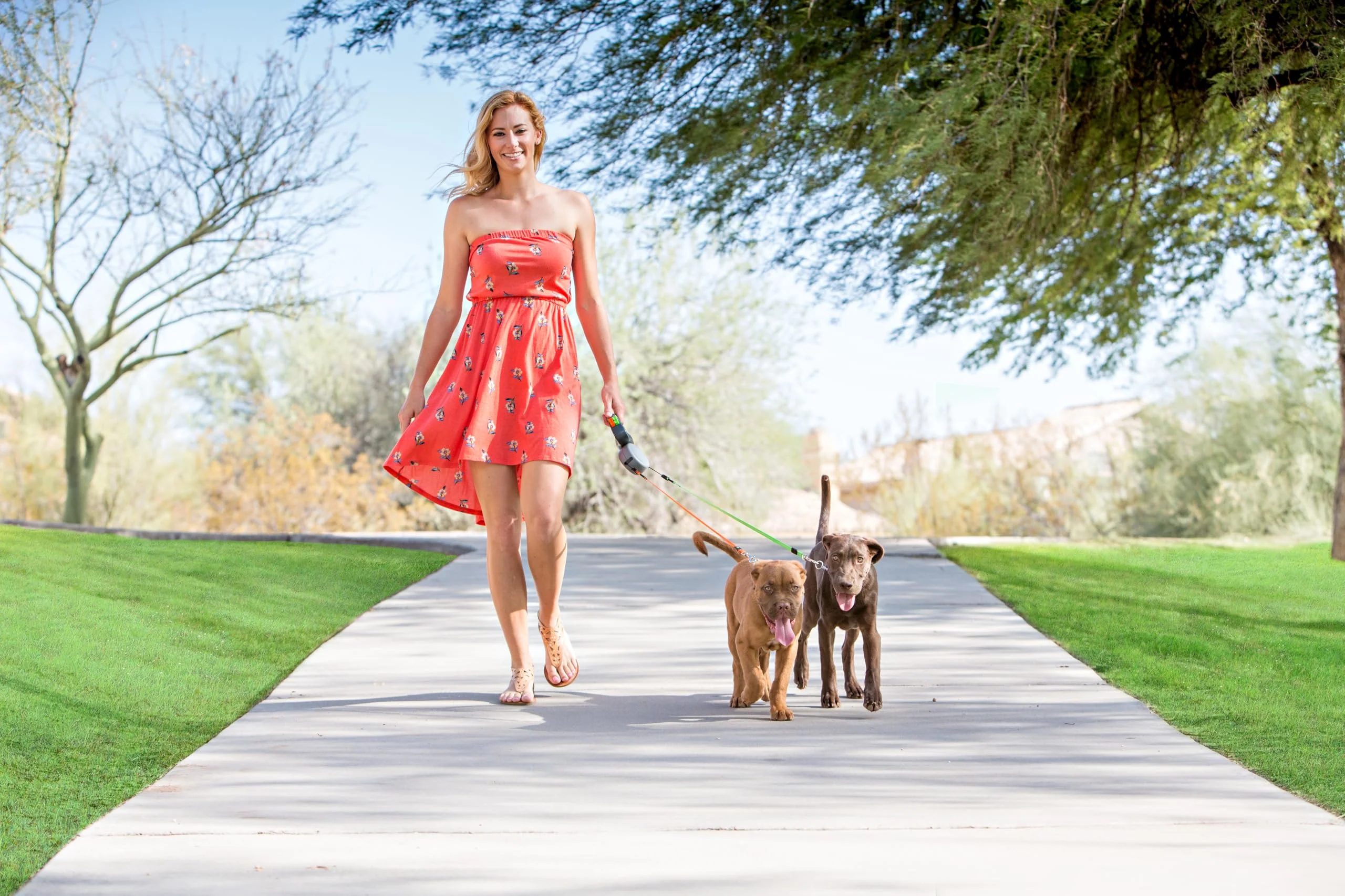 WIGZI - 2025 Enhanced Edition - Dual (2) Dog Retractable Leash, Auto-Untangles, Supports Up To 50lb Dogs, 10ft Distance Each Dog, Color-Coded Control, Reflective Leads, Waterproof, Gray Color - Image 3