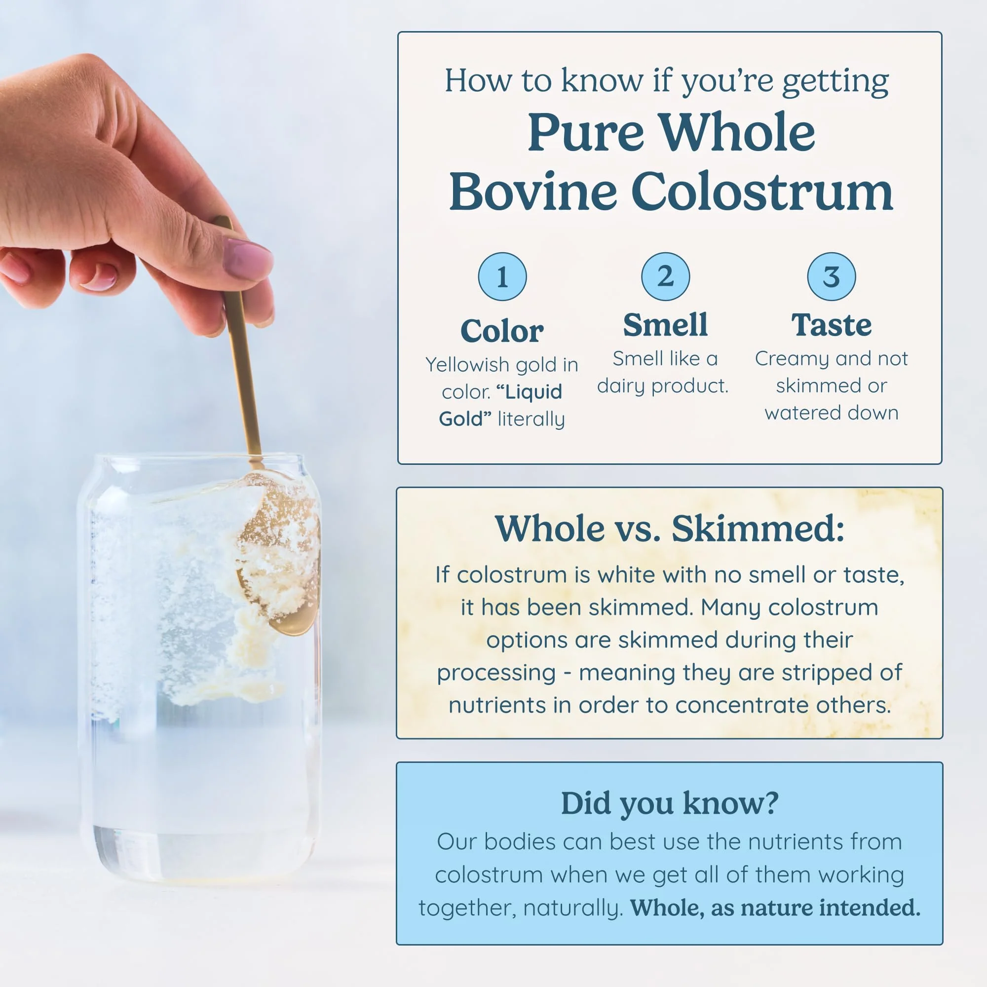 WONDERCOW Colostrum Supplement Powder for Gut Health, Immune Support & Wellness | Natural IgG Pure Whole Bovine Colostrum Superfood, Unflavored, 30 Servings - Image 4