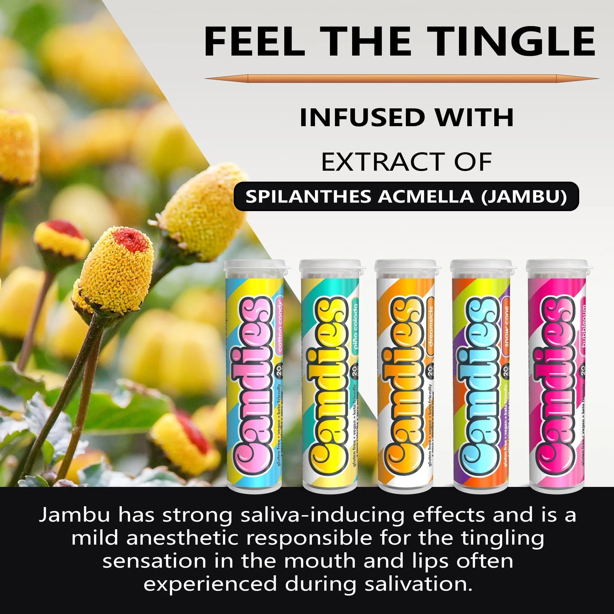 Xero Picks Candies - Infused Flavored Toothpicks (Candies Variety, 5 Pack - 100 Picks) Bubblegum, Pina Colada, Orange Creamsicle, Cotton Candy, Snow Cone and Candy Cane - Image 3
