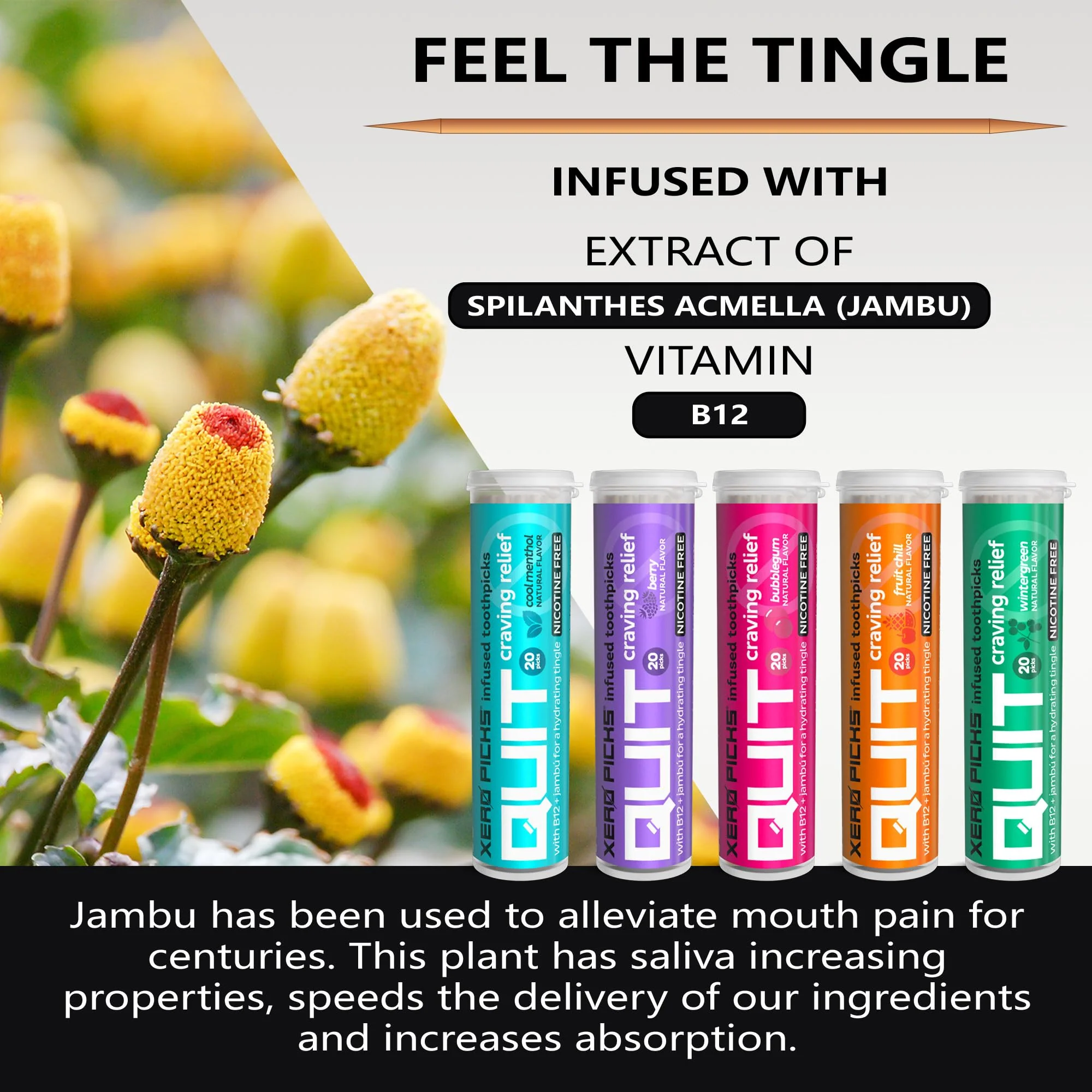 Xero Picks Infused Flavored Toothpicks to Help Quit Smoking - Nicotine Free (Variety Pack, 20 Count (Pack of 5)) Non-GMO Kosher Vegan - Image 5
