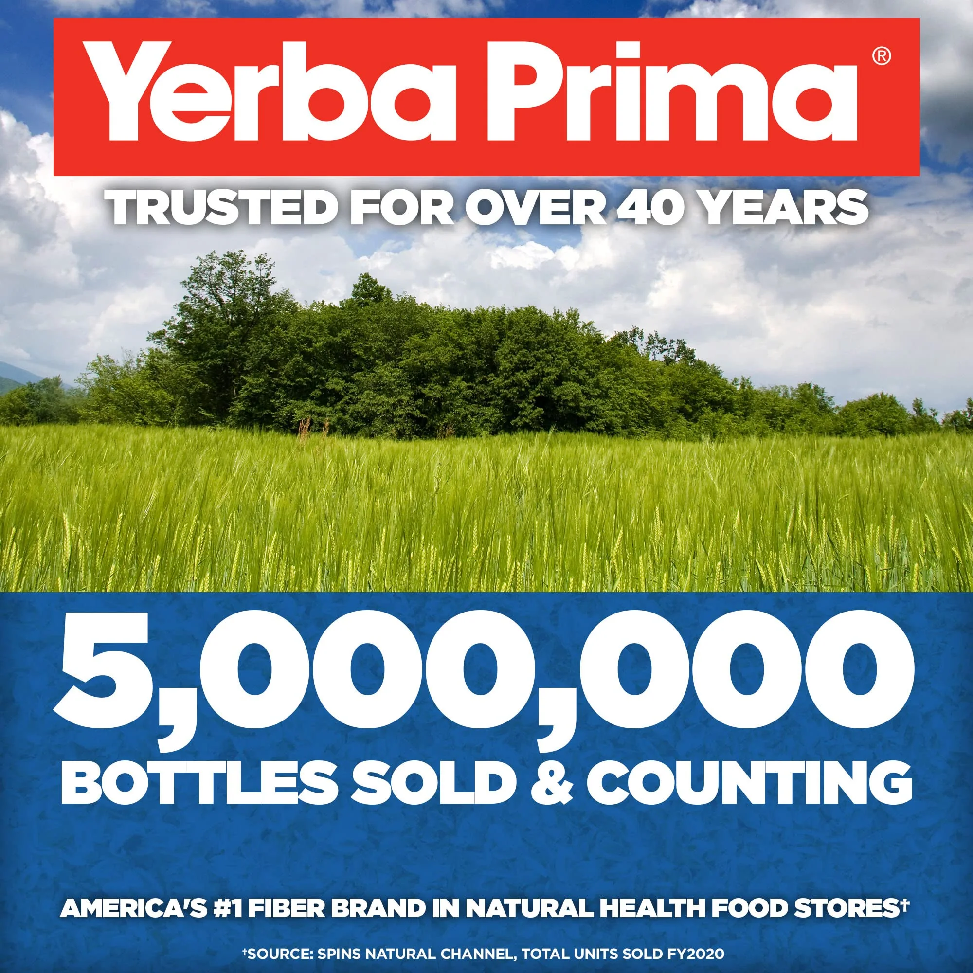 Yerba Prima Psyllium Whole Husks, 12 oz (2 Pack) - Colon Cleanser, Gluten Free, Non-GMO, Soothing Regularity - Image 2