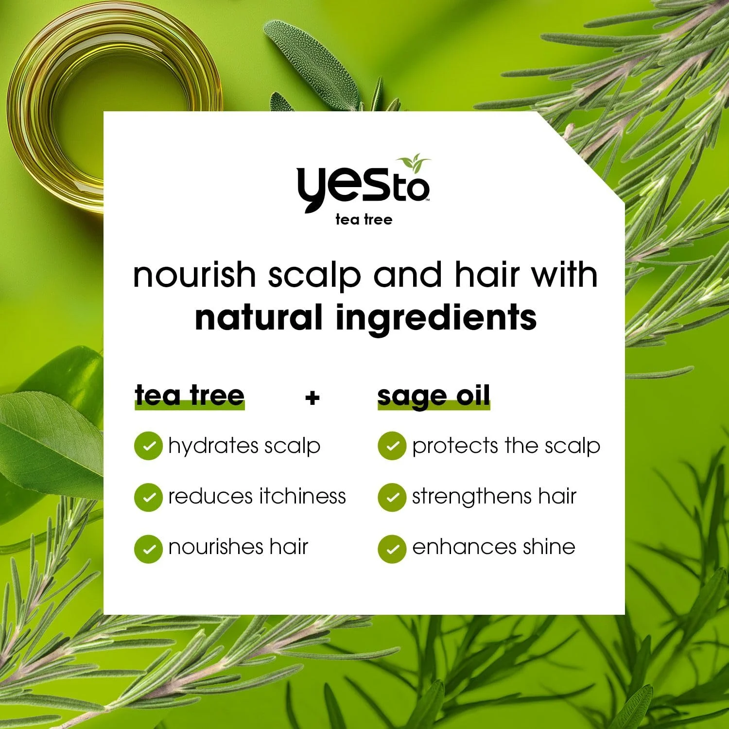 Yes To Tea Tree Scalp Relief Shampoo, pH Balancing Formula To Calm Dry Itchy Scalp While Moisturizing & Nourishing Hair, With Tea Tree & Sage Oil, Natural, Vegan & Cruelty Free, 12 Fl Oz 2PK - Image 3