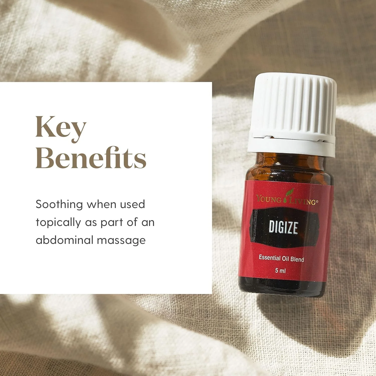 Young Living DiGize Essential Oil 15ml | Aromatherapy Blend with Peppermint & Ginger | Invigorating Diffuser Use & Relaxing Scent for Everyday Rituals - Image 3