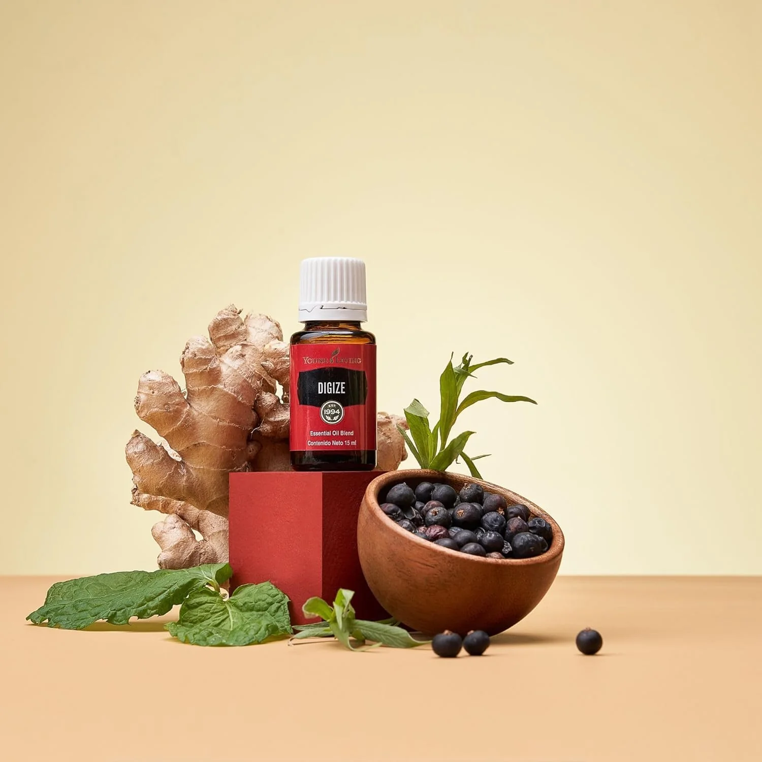 Young Living DiGize Essential Oil 15ml | Aromatherapy Blend with Peppermint & Ginger | Invigorating Diffuser Use & Relaxing Scent for Everyday Rituals - Image 7
