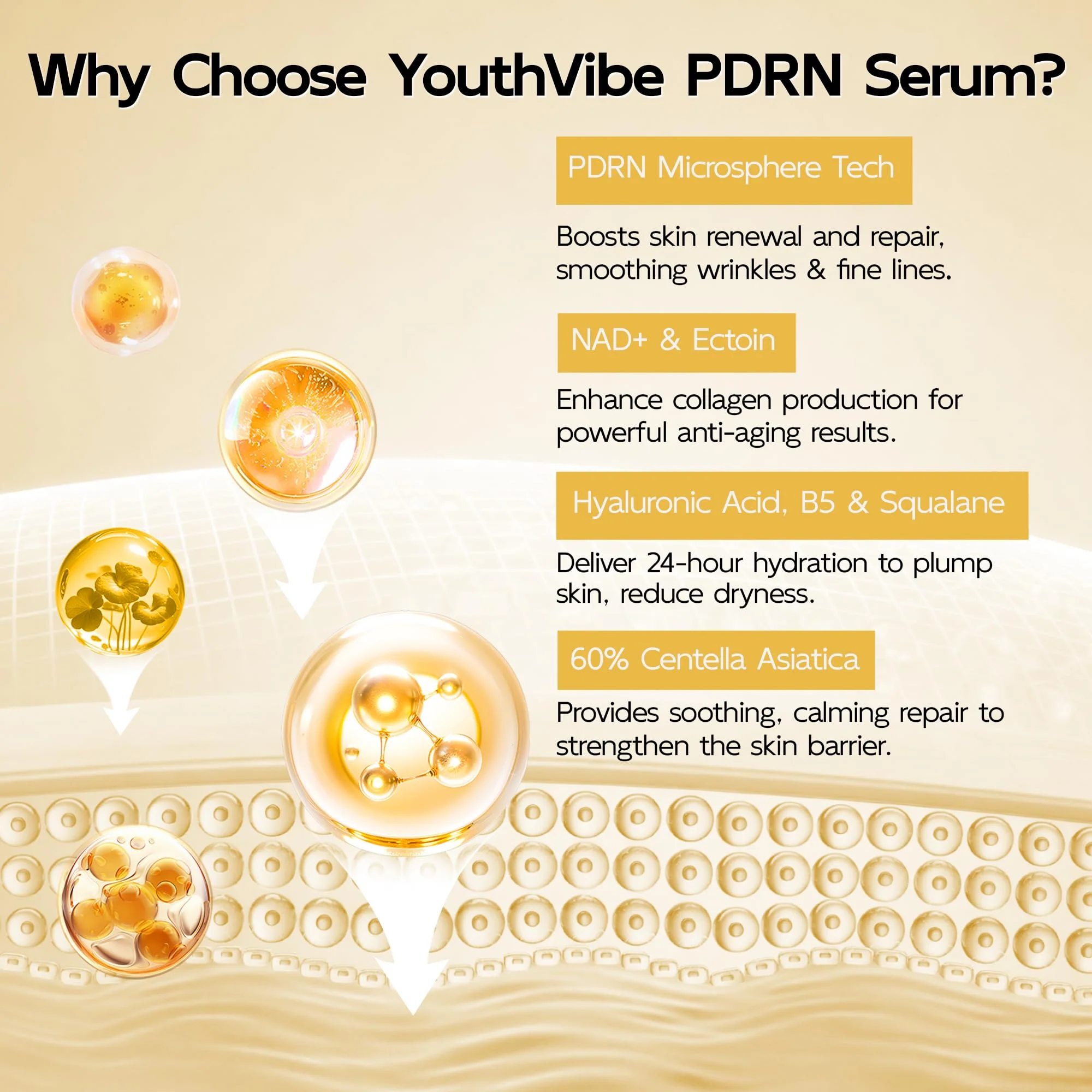 YouthVibe 0.5% PDRN Serum for Face, Anti-Aging Salmon DNA Face Serum with Hyaluronic Acid + Niacinamide + Squalane, Firming & Hydrating, Helps Smooth the Look of Fine Lines & Wrinkles, 30mL - Image 5