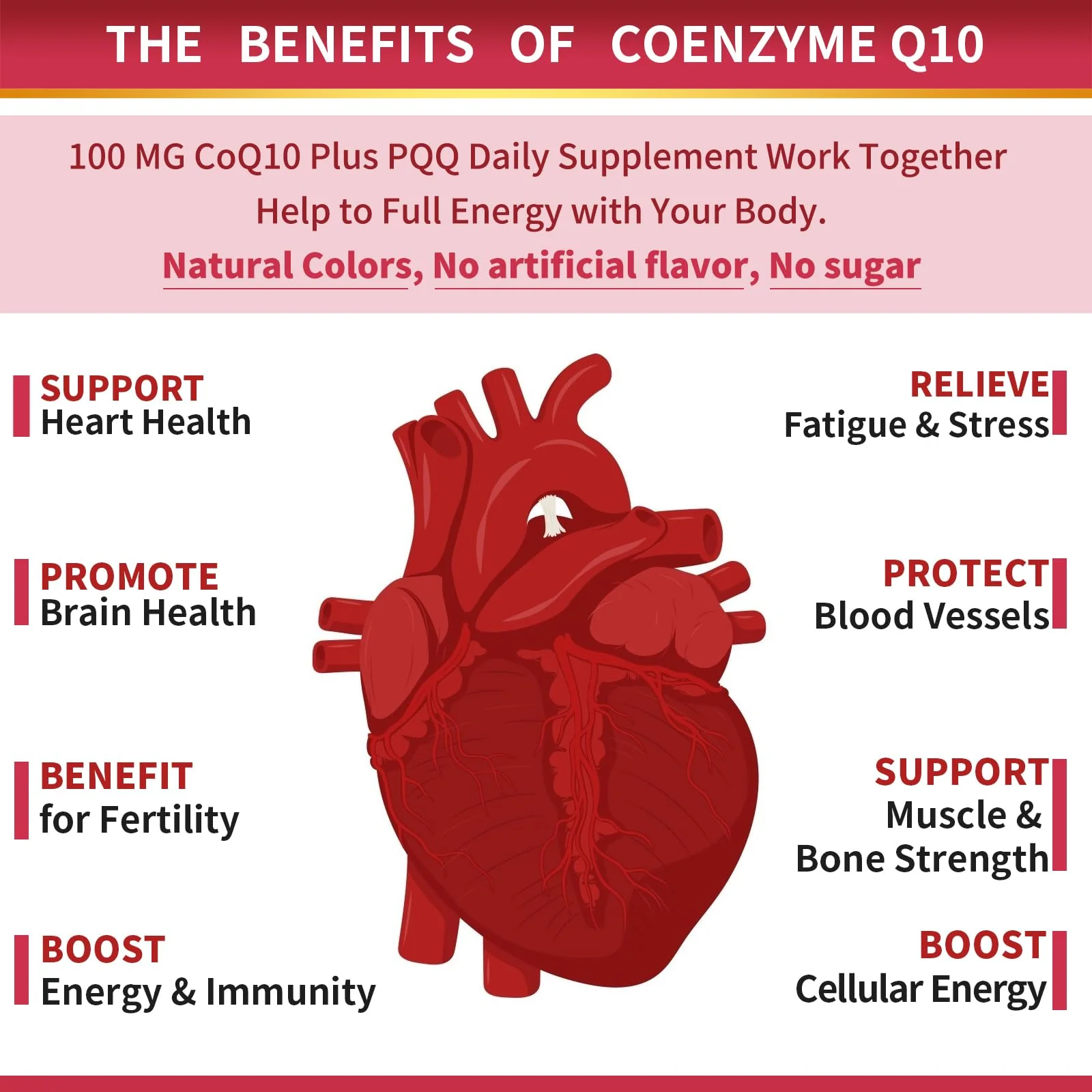 ZEBORA CoQ10-100mg-Softgels with PQQ, BioPerine & Omega-3, High Absorption Coenzyme Q10 Supplement, Powerful-Antioxidant, Support Heart & Energy-Production 120 Servings, Non-GMO - Image 5