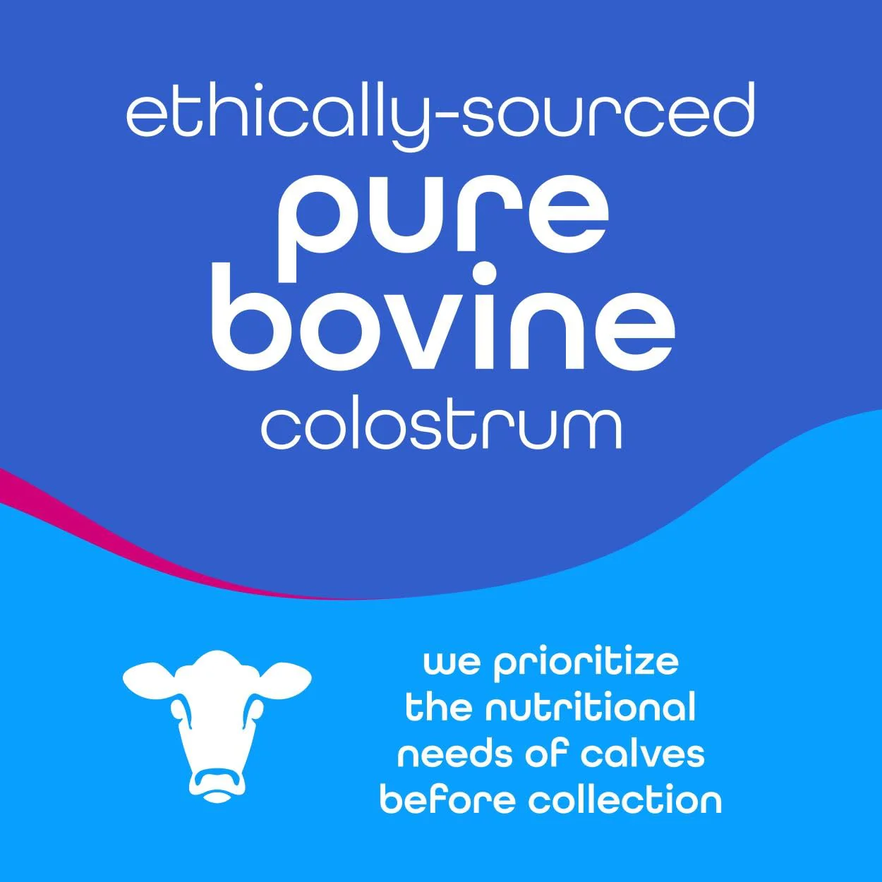 Zena Nutrition Pure Bovine Colostrum & Collagen Powder Supplement for Gut Health, Immune Support, Digestion, Hair, Skin & Nails, Unflavored, Gluten & Sugar Free, 30 Servings - Image 3