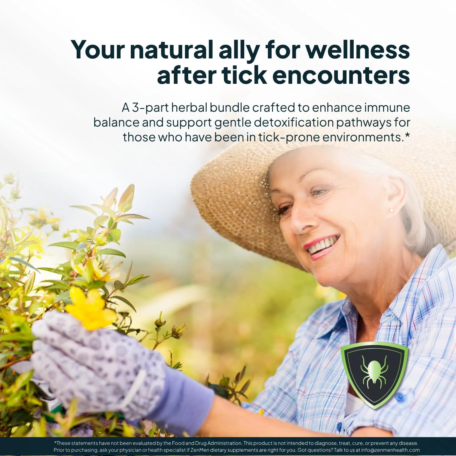 Zenmen Tick Defense Complete Method - 3 Tick Immune Support + 2 Garlic Tincture + 2 Green Black Walnut Tincture - Image 3