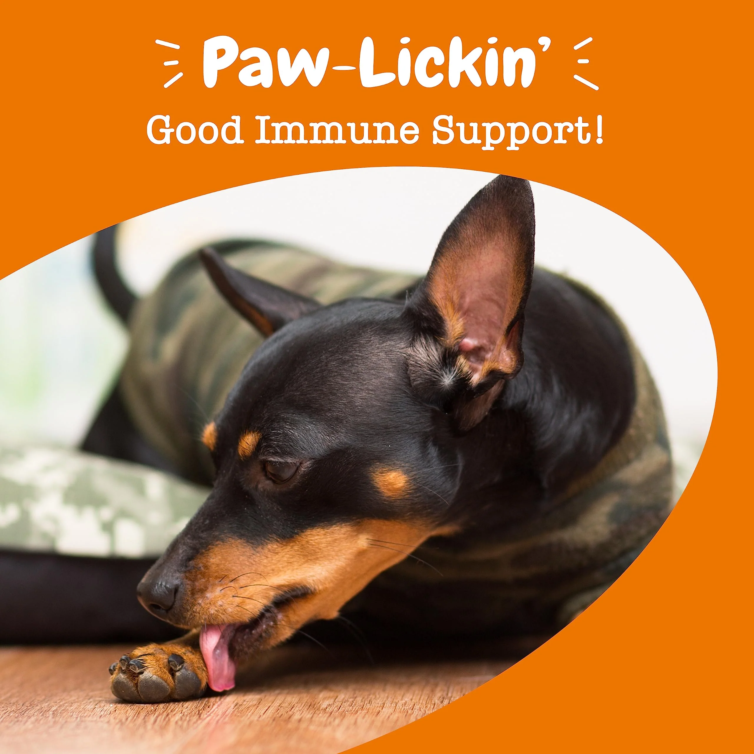 Zesty Paws Allergy & Immune Flavor Infusions for Dogs - with Omega 3 Salmon Oil for Sensitive Skin, EpiCor Pets, Colostrum & Quercetin - Supports Seasonal Allergies - Chicken Flavor - 16 fl oz - Image 8
